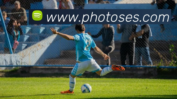 乐鱼登录平台生态图